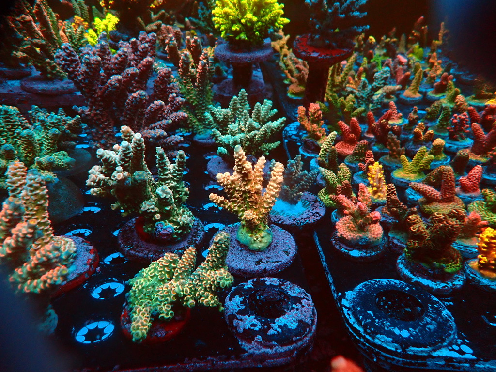 Stacks Image 196