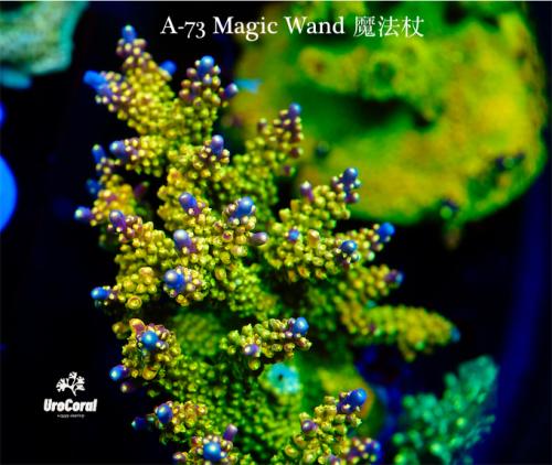 A73 Magic Wand