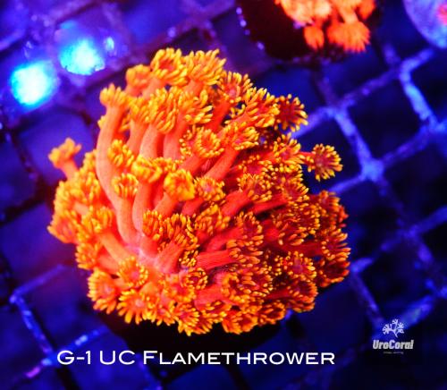 G-1 UC Flamethrower